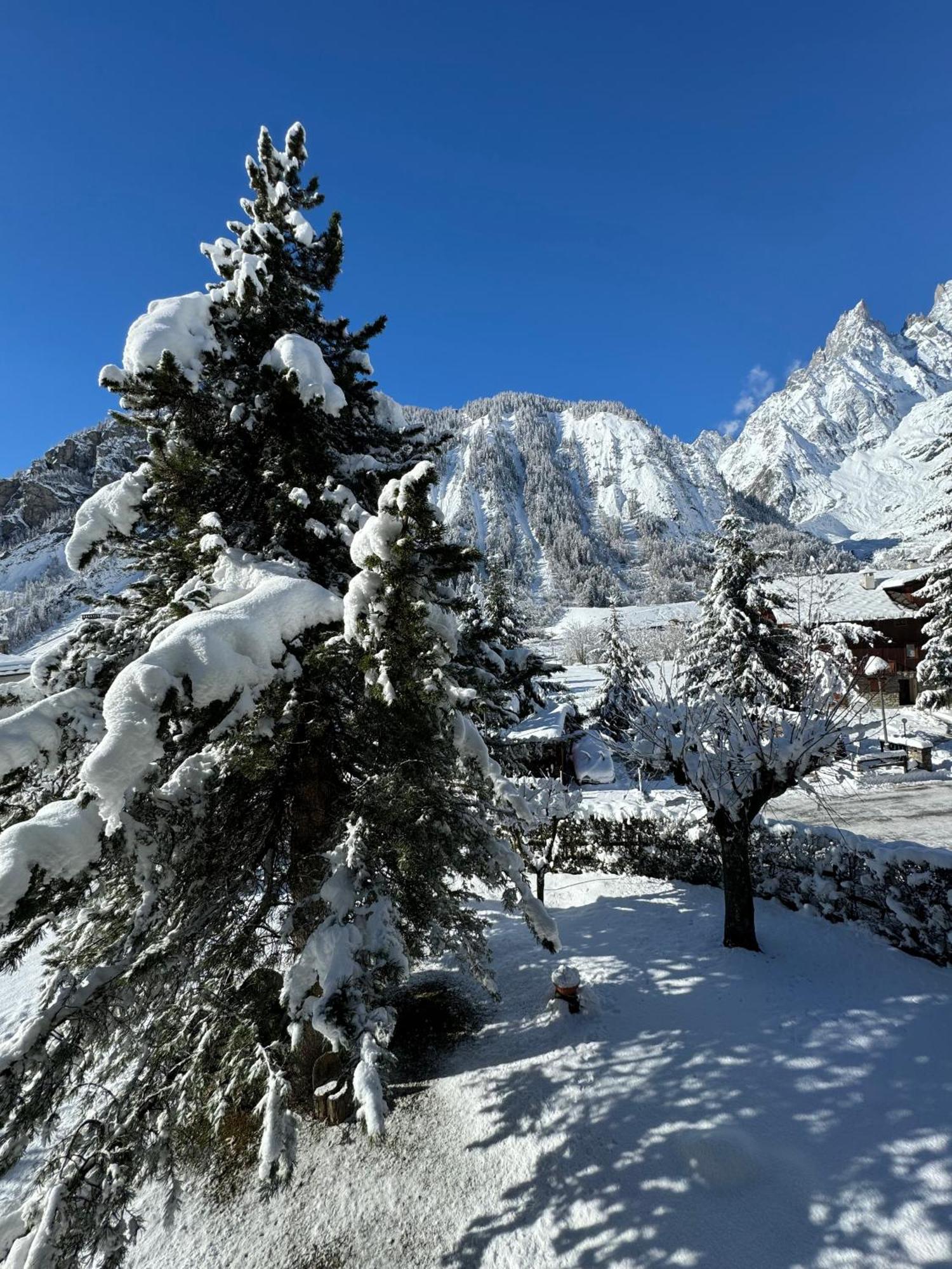 Hotel Aiguille Noire Курмайор Экстерьер фото